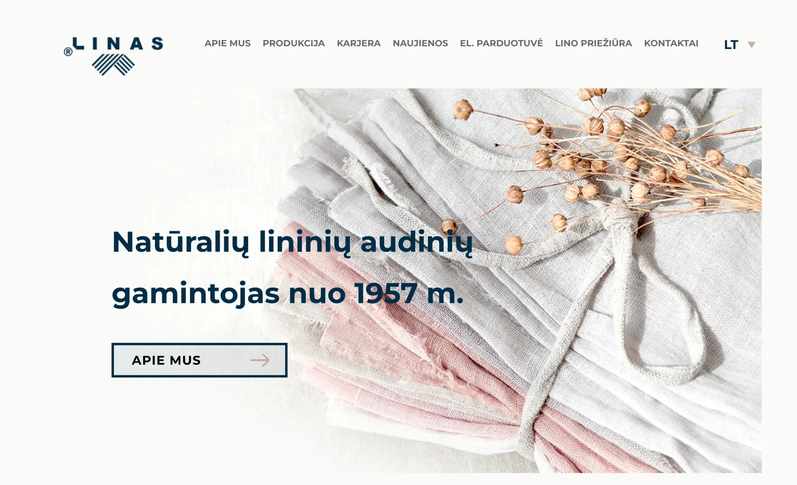 Skaitmeninės rinkodaros ir pardavimų auginimo agentūra nuo 2006 metų Linas